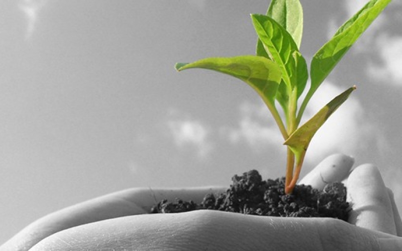 环保领域创新专项启动 这些土壤监测技术你得知道