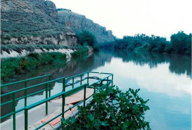 环境气象|空气质量|海洋环境|水质水文|植物生态 环境气象|空气质量|海洋环境|水质水文|植物生态