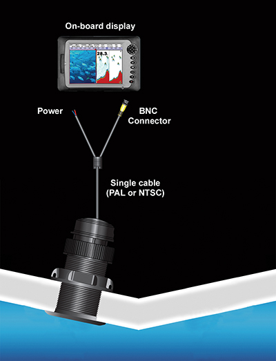环境气象|空气质量|海洋环境|水质水文|植物生态 环境气象|空气质量|海洋环境|水质水文|植物生态